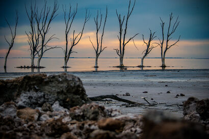Lago Epecuen - a Photographic Art Artowrk by Gabriela Vitetta
